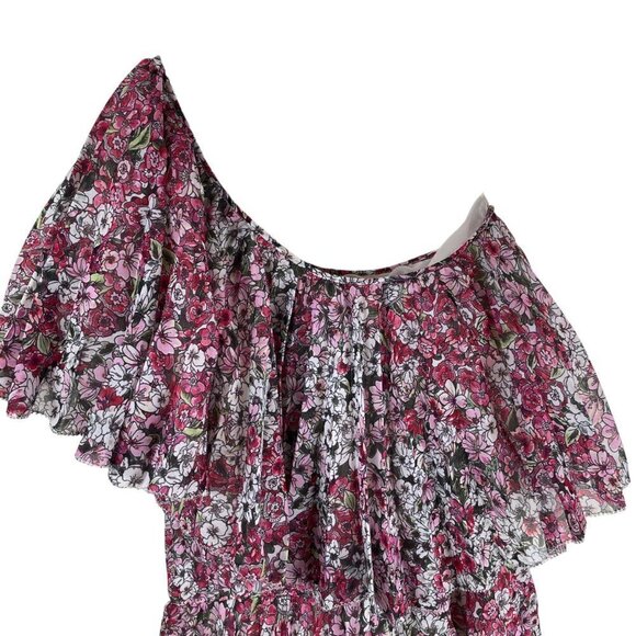 Giambattista Valli x H&M One Shoulder Ruffle Floral Chiffon Dress Pink Size 4 - Picture 3 of 12